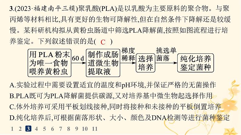 适用于新高考新教材2024版高考生物二轮复习专题突破练8生物技术与工程课件第7页