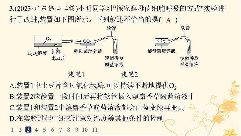 适用于新高考新教材2024版高考生物二轮复习专题突破练9实验与探究课件第7页