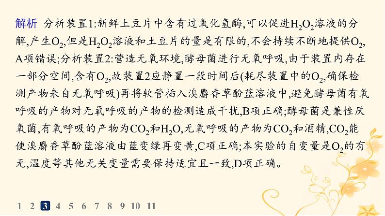 适用于新高考新教材2024版高考生物二轮复习专题突破练9实验与探究课件第8页