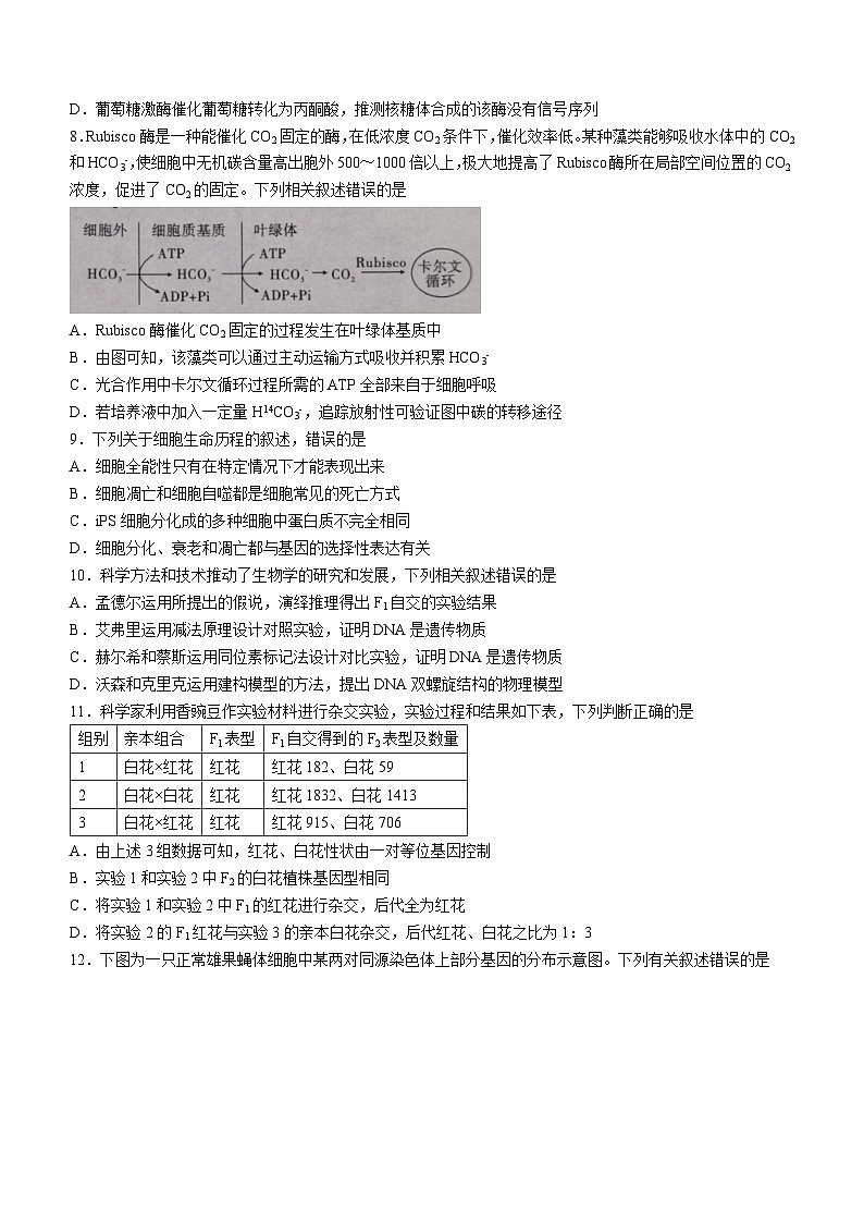 安徽省江淮十校2024届高三第二次联考试题生物03
