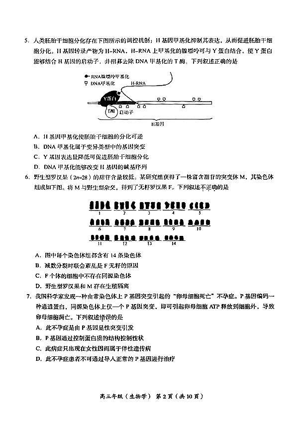 北京市海淀区2024届高三上学期期中考试生物02