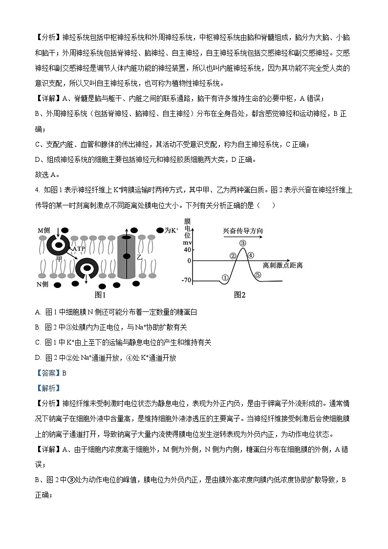 江苏省扬州市高邮市一中高二上学期期中模拟生物试题（解析版）第3页