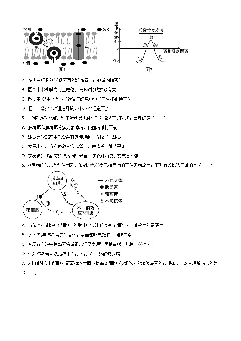 江苏省扬州市高邮市一中高二上学期期中模拟生物试题（原卷版）第2页