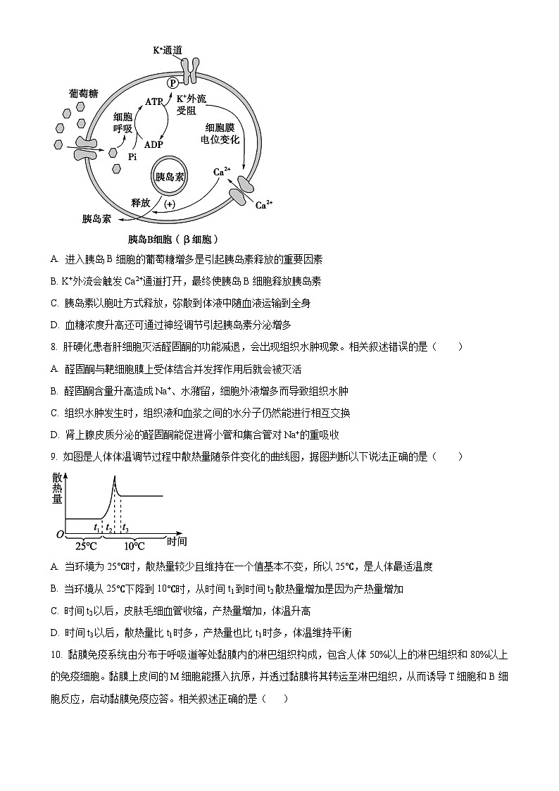 江苏省扬州市高邮市一中高二上学期期中模拟生物试题（原卷版）第3页