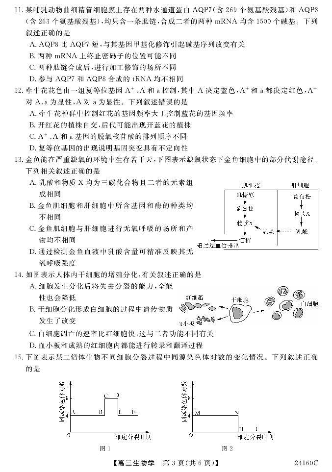 福建省福州市闽江口协作体2014届高三上学期11月期中考试生物03