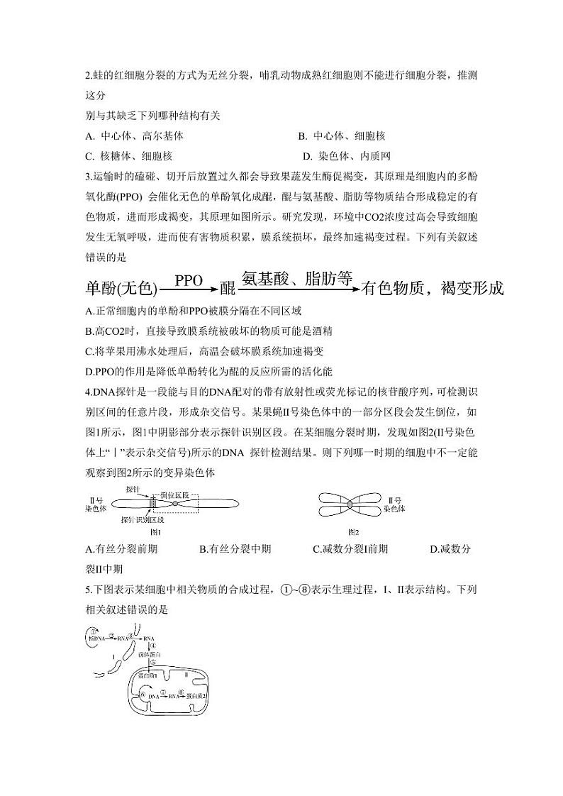 湖南省天一大联考2023-2024学年11月份高三年级三联 生物第2页