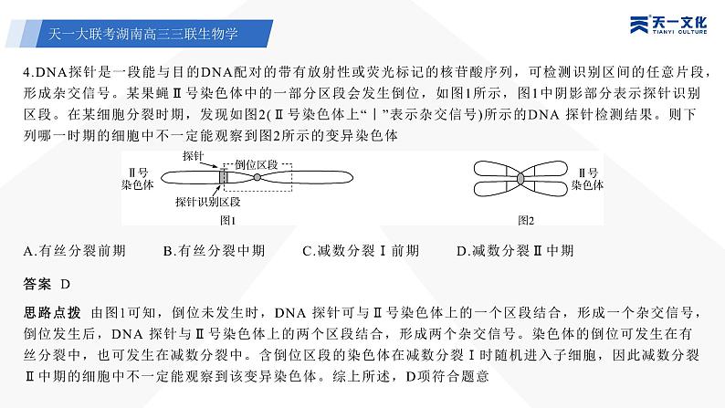 生物学-湖南高三三联课件第6页