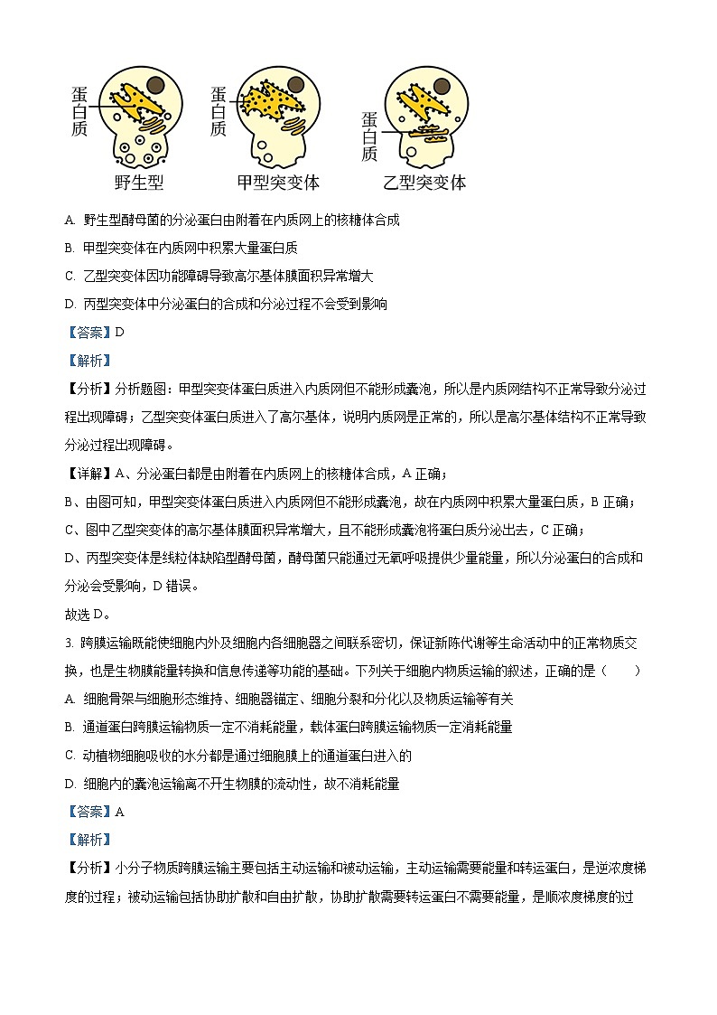精品解析：辽宁省沈阳市一二〇中2023-2024学年高三上学期第四次质量监测生物试题（解析版）第2页