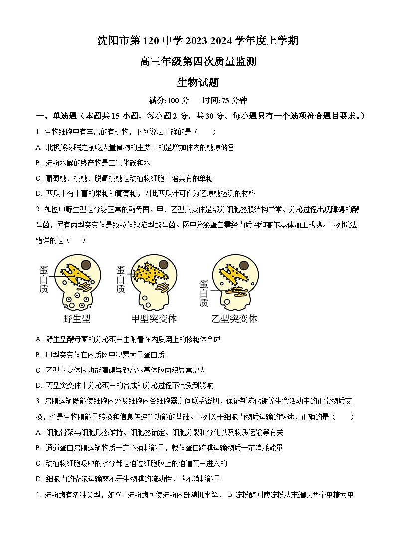 精品解析：辽宁省沈阳市一二〇中2023-2024学年高三上学期第四次质量监测生物试题（原卷版）第1页