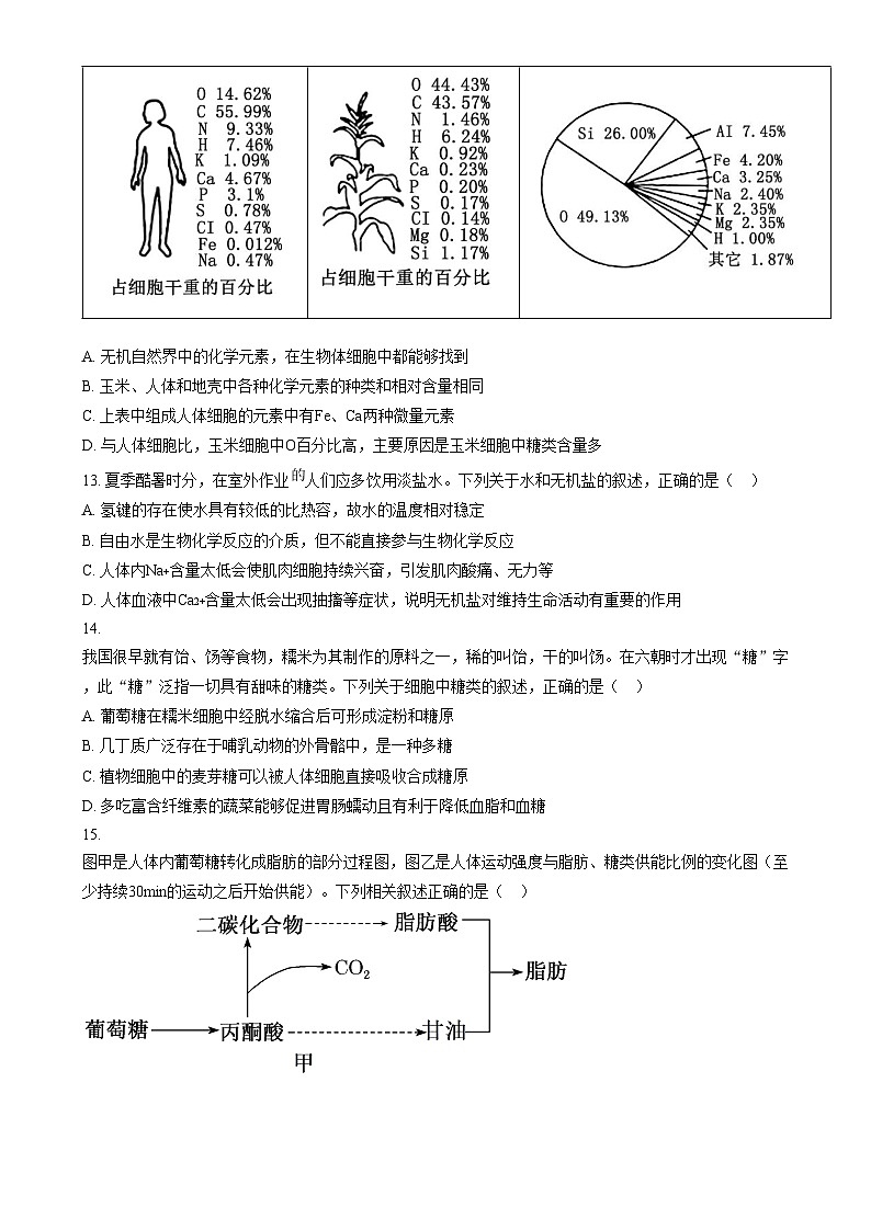 2024朔州怀仁九中高一上学期期中生物试题含解析03