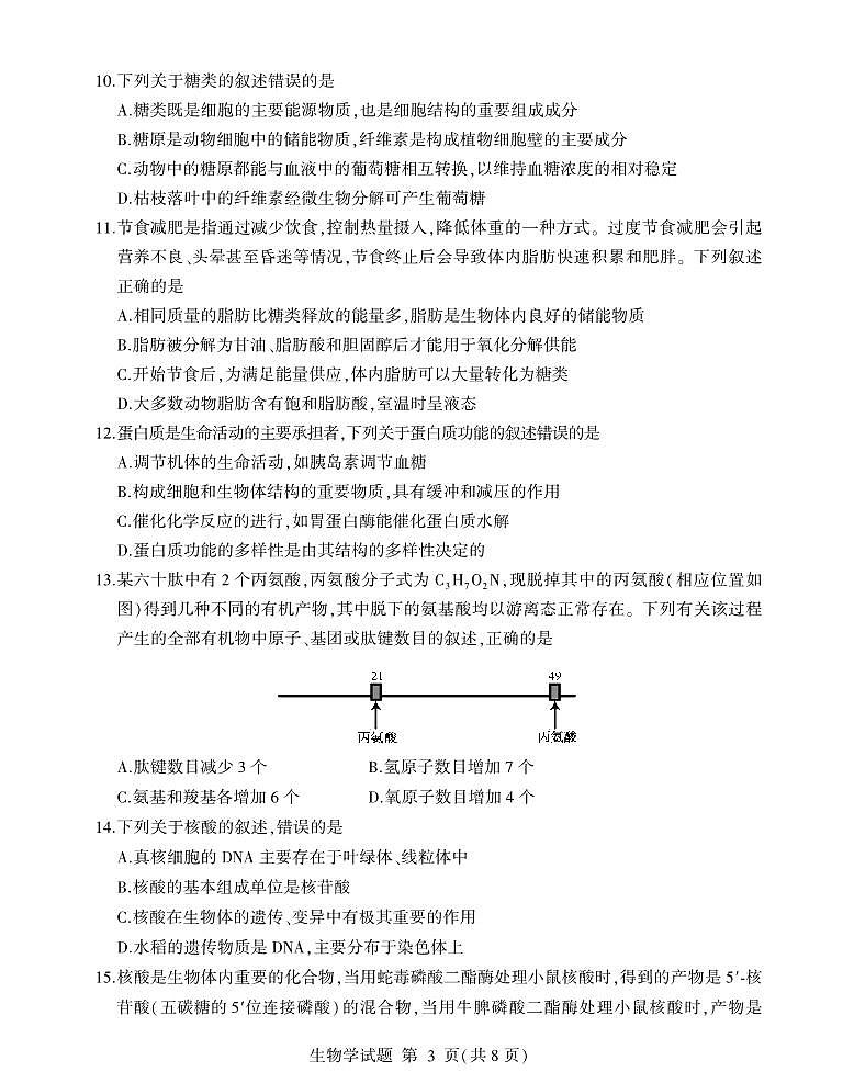 2024临沂罗庄区高一上学期期中生物试题PDF版含答案03