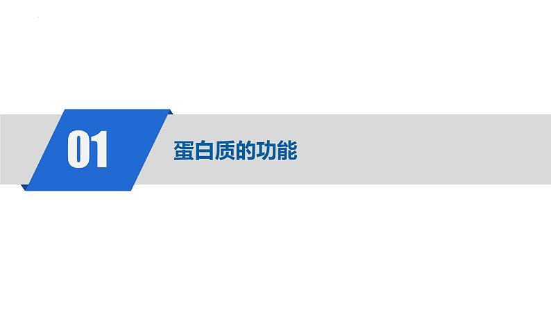 《蛋白质是生命活动的主要承担者》课件第3页