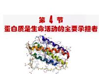 人教版 (2019)必修1《分子与细胞》第4节 蛋白质是生命活动的主要承担者背景图ppt课件