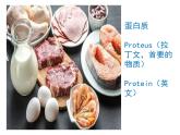 《蛋白质是生命活动的主要承担者》课件2