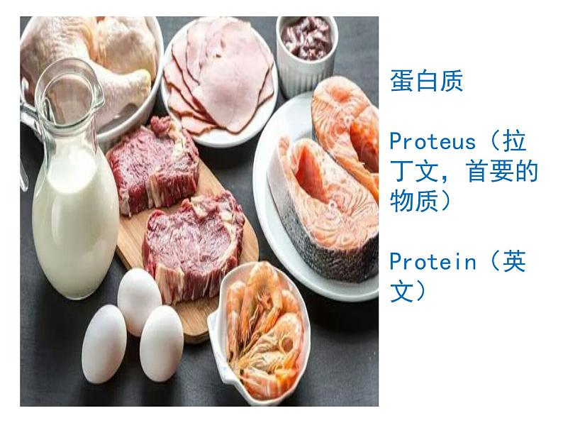 《蛋白质是生命活动的主要承担者》课件2第2页