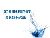 《细胞中的无机物》课件
