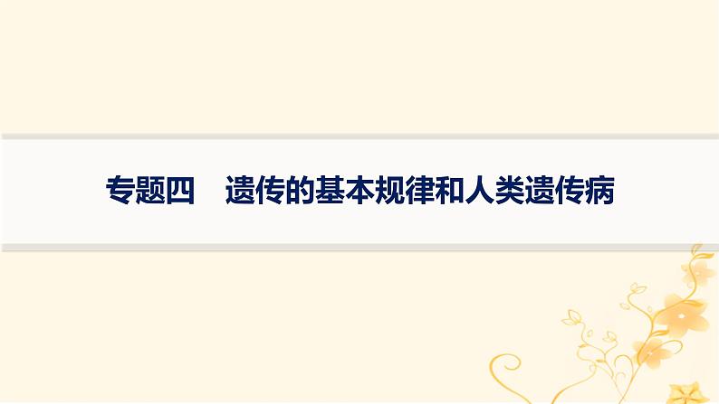 适用于新高考新教材2024版高考生物二轮复习专题4遗传的基本规律和人类遗传参件课件PPT第1页