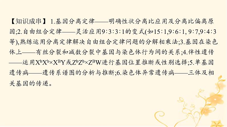 适用于新高考新教材2024版高考生物二轮复习专题4遗传的基本规律和人类遗传参件课件PPT第4页