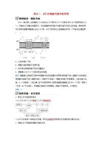 2024届高考生物二轮专题复习与测试专题二细胞代谢第3讲酶和ATP考点二ATP在细胞代谢中的作用