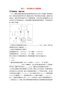 2024届高考生物二轮专题复习与测试专题四遗传规律和伴性遗传第6讲遗传的基本规律伴性遗传与人类遗传病考点二伴性遗传与人类遗传病