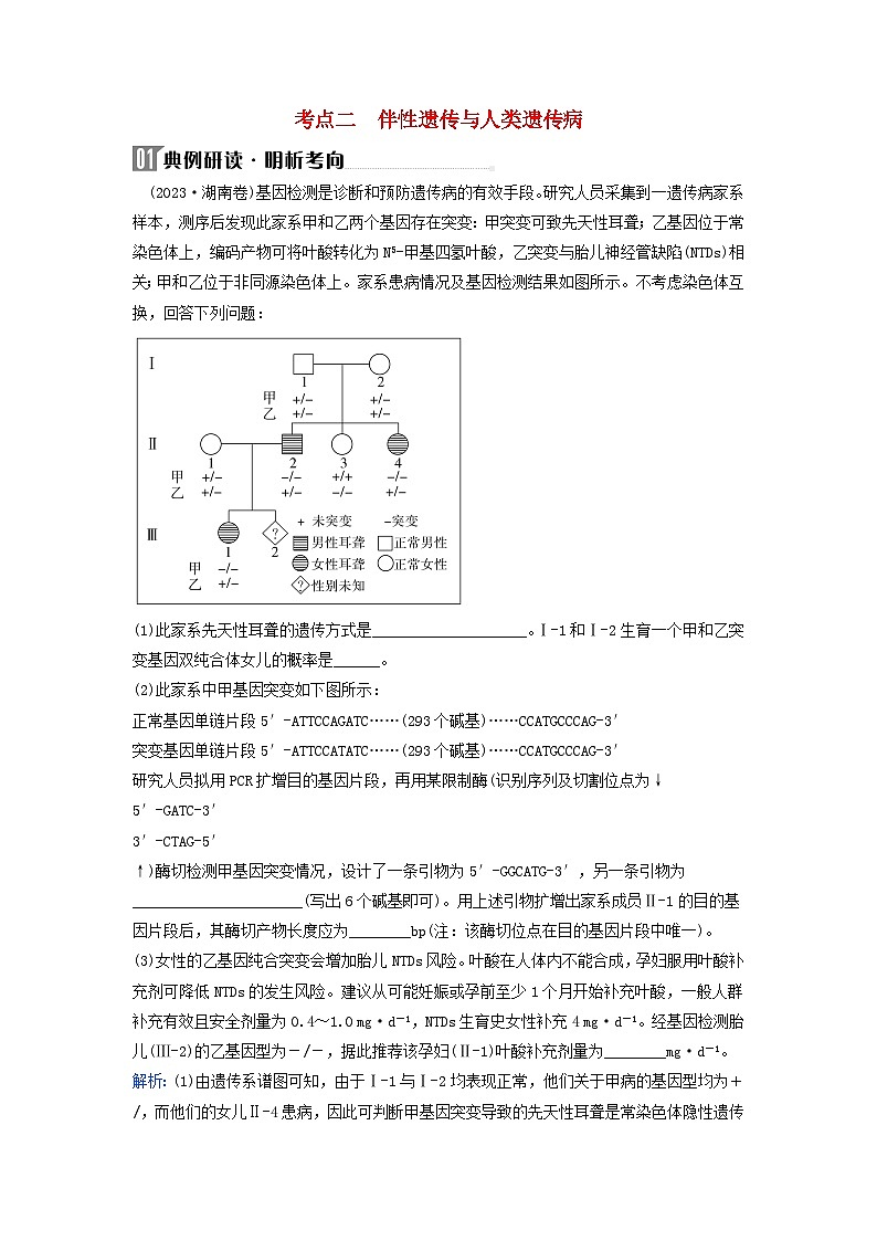 2024届高考生物二轮专题复习与测试专题四遗传规律和伴性遗传第6讲遗传的基本规律伴性遗传与人类遗传病考点二伴性遗传与人类遗传病第1页