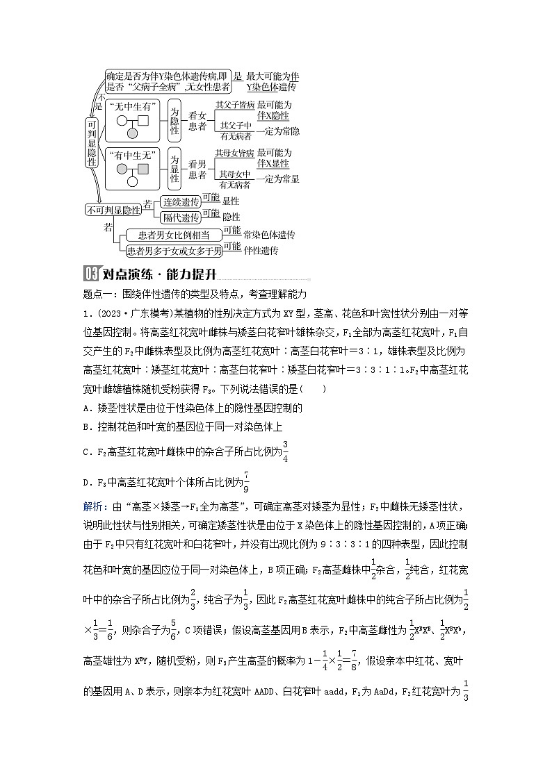 2024届高考生物二轮专题复习与测试专题四遗传规律和伴性遗传第6讲遗传的基本规律伴性遗传与人类遗传病考点二伴性遗传与人类遗传病第3页