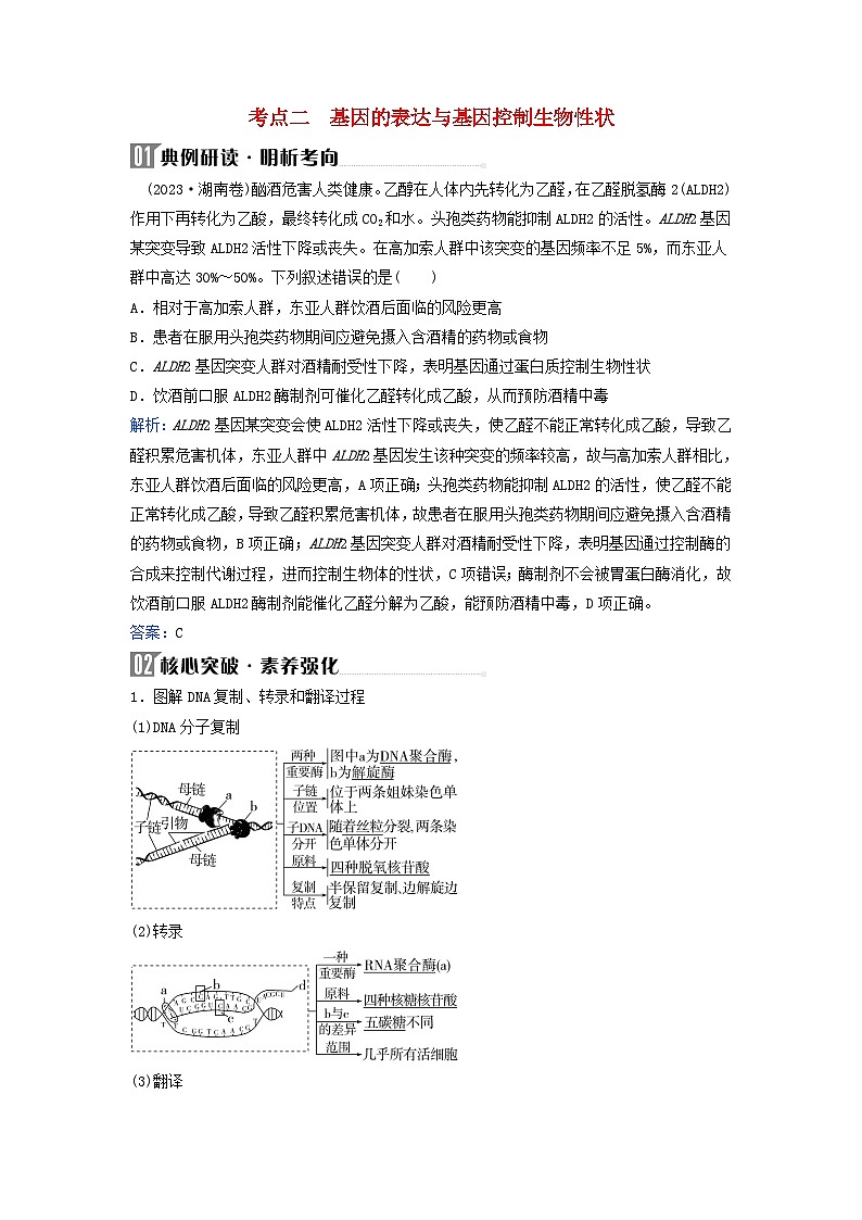 2024届高考生物二轮专题复习与测试专题五遗传的分子基础变异与进化第7讲遗传的分子基础考点二基因的表达与基因控制生物性状第1页
