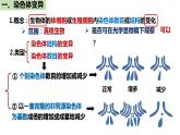 人教版高中生物必修二5.2染色体变异（第1课时）课件+同步分层练习（含答案解析）