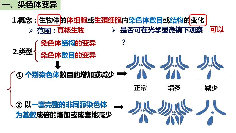 人教版高中生物必修二5.2染色体变异（第1课时）课件+同步分层练习（含答案解析）04