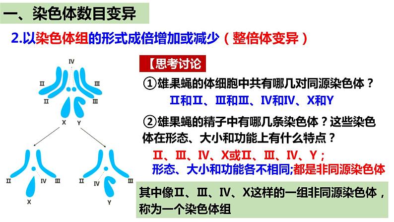 人教版高中生物必修二5.2染色体变异（第1课时）课件+同步分层练习（含答案解析）07