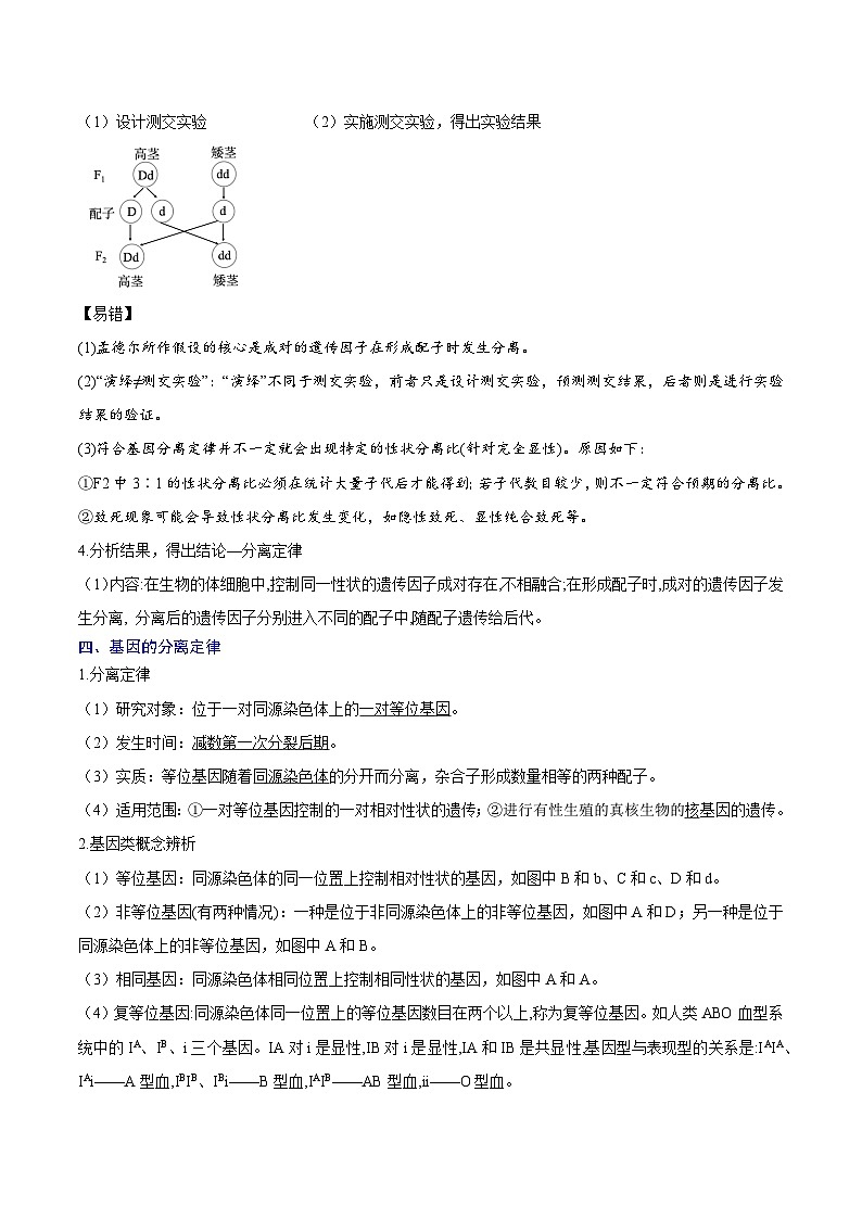 【知识梳理】2024年高中生物学业水平考试（新教材专用）专题01 遗传因子的发现-讲义03
