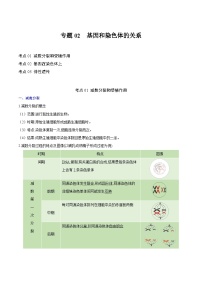 【知识梳理】2024年高中生物学业水平考试（新教材专用）专题02 基因和染色体的关系-讲义