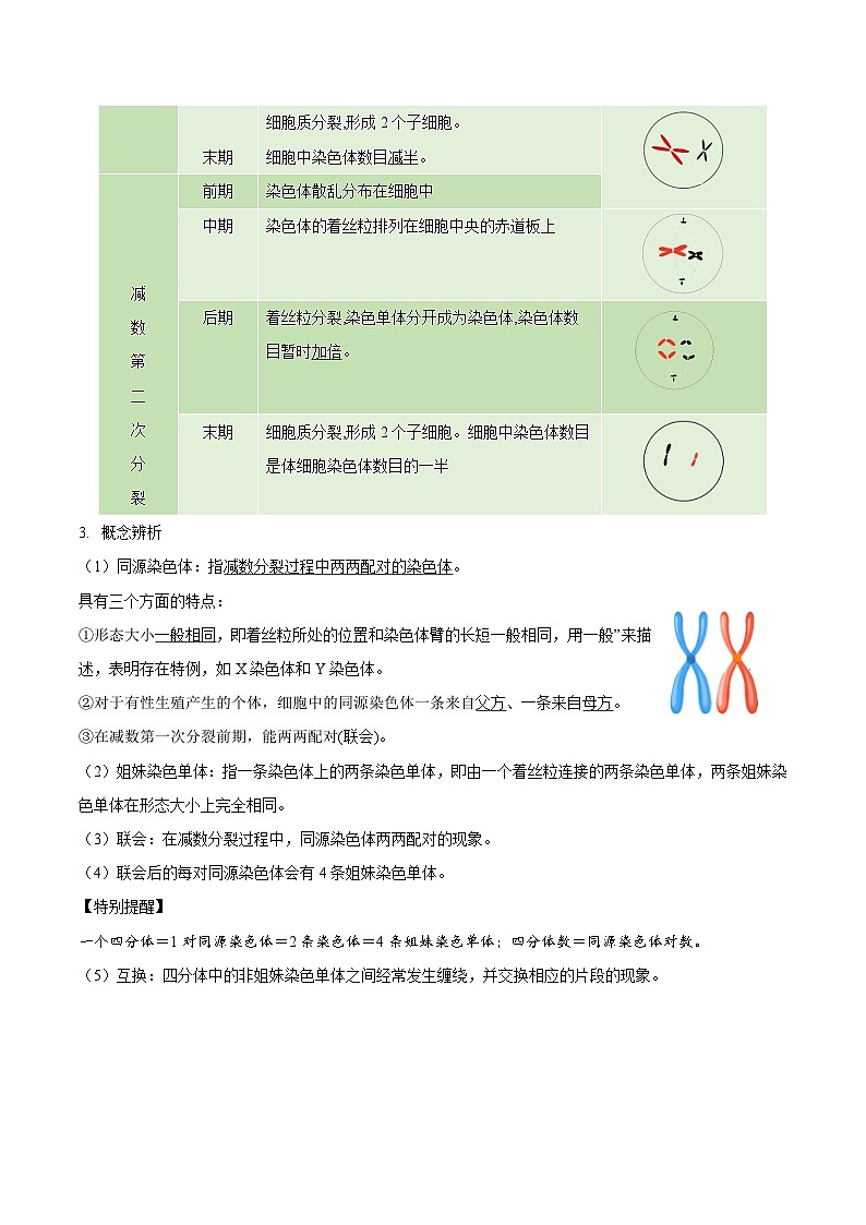 【知识梳理】2024年高中生物学业水平考试（新教材专用）专题02 基因和染色体的关系-讲义02