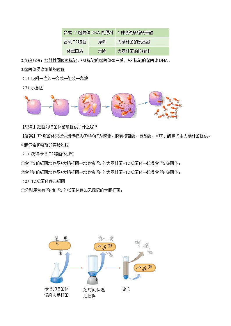 【知识梳理】2024年高中生物学业水平考试（新教材专用）专题03 基因的本质 -讲义第3页