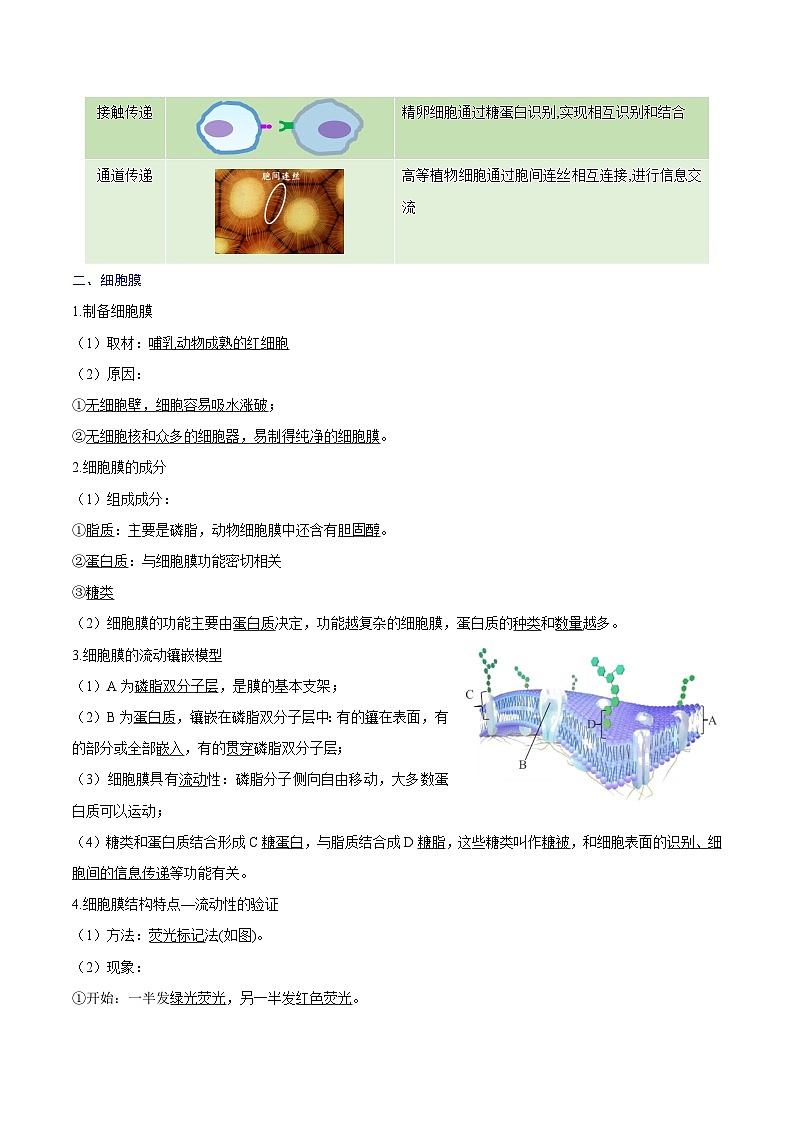 【知识梳理】2024年高中生物学业水平考试（新教材专用）专题03 细胞的基本结构-讲义第2页