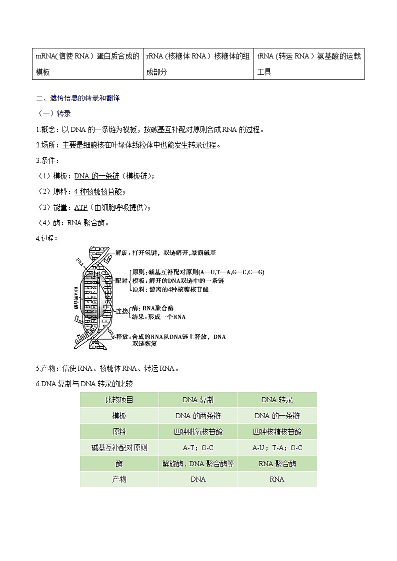 【知识梳理】2024年高中生物学业水平考试（新教材专用）专题04 基因的表达-讲义02