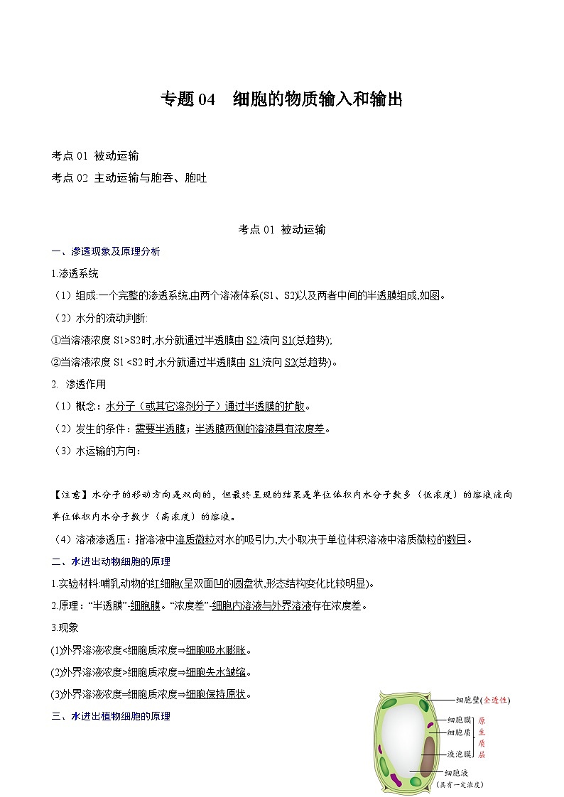 【知识梳理】2024年高中生物学业水平考试（新教材专用）专题04 细胞的物质输入和输出-讲义第1页