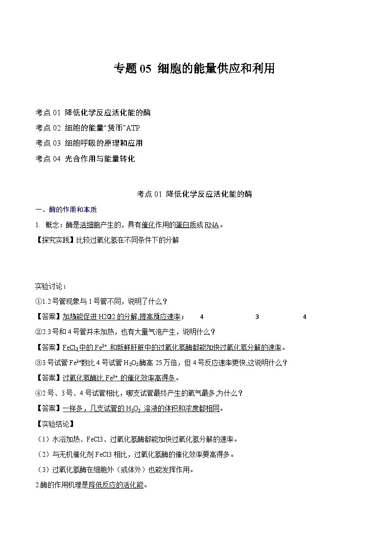 【知识梳理】2024年高中生物学业水平考试（新教材专用）专题05 细胞的能量供应和利用-讲义01