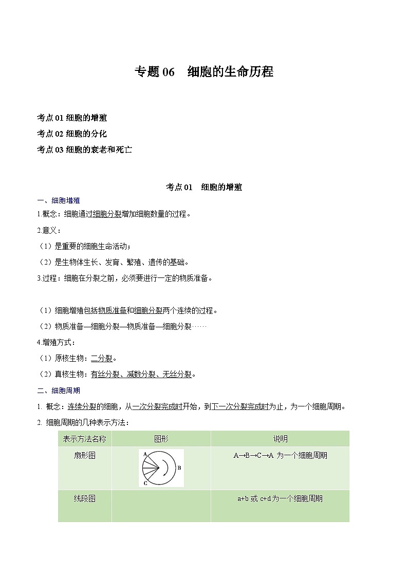 【知识梳理】2024年高中生物学业水平考试（新教材专用）专题06 细胞的生命历程-讲义01