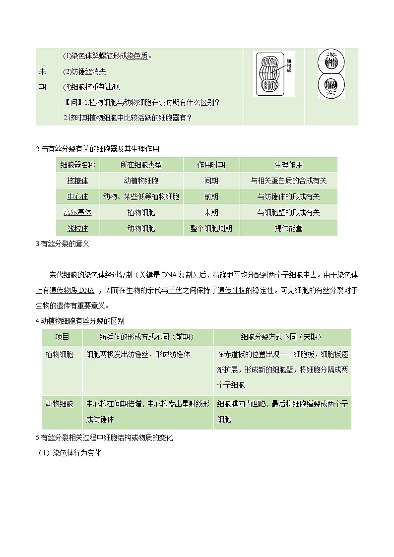 【知识梳理】2024年高中生物学业水平考试（新教材专用）专题06 细胞的生命历程-讲义03