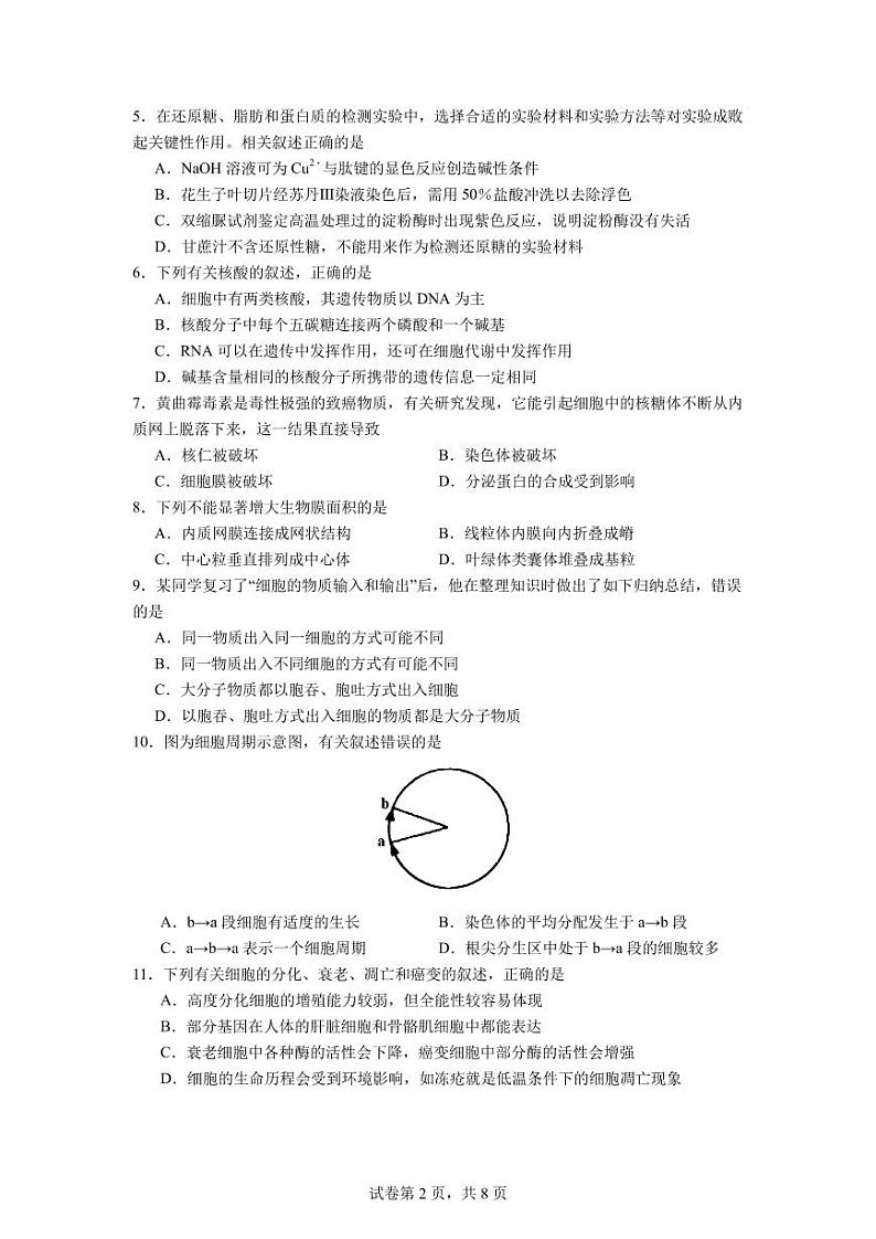 2024德阳五中高三上学期12月月考试题生物PDF版含答案第2页