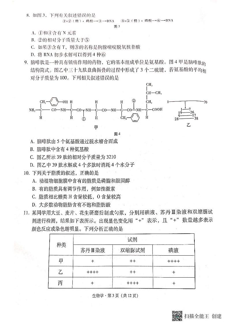 2024云南师大附中高一上学期教学测评月考（三）生物PDF版含答案03
