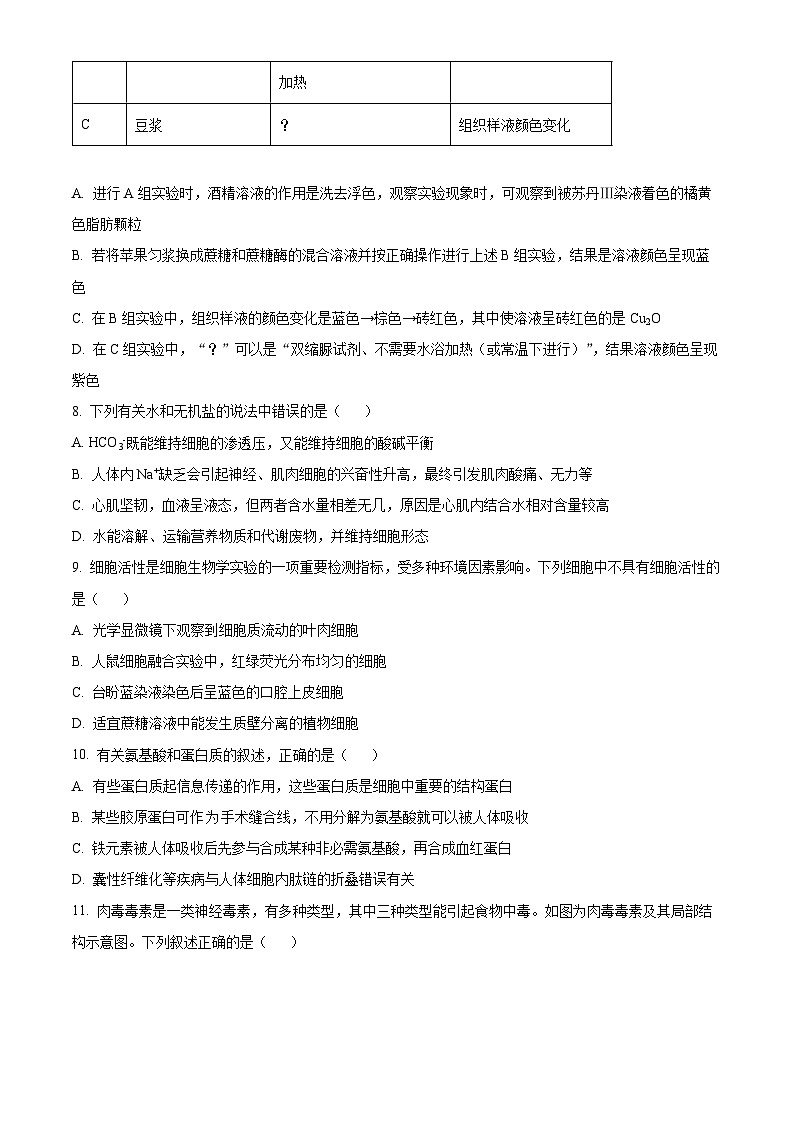 2024济宁邹城高一11月期中考试生物试题03