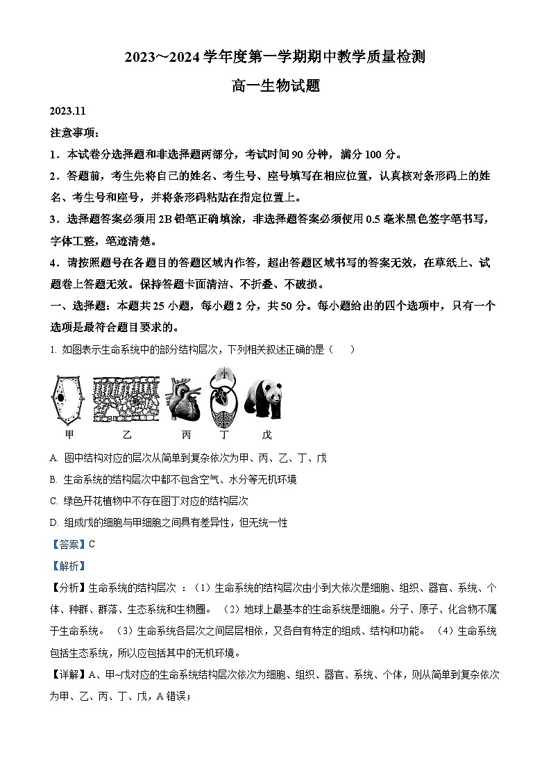 2024济宁邹城高一11月期中考试生物试题01