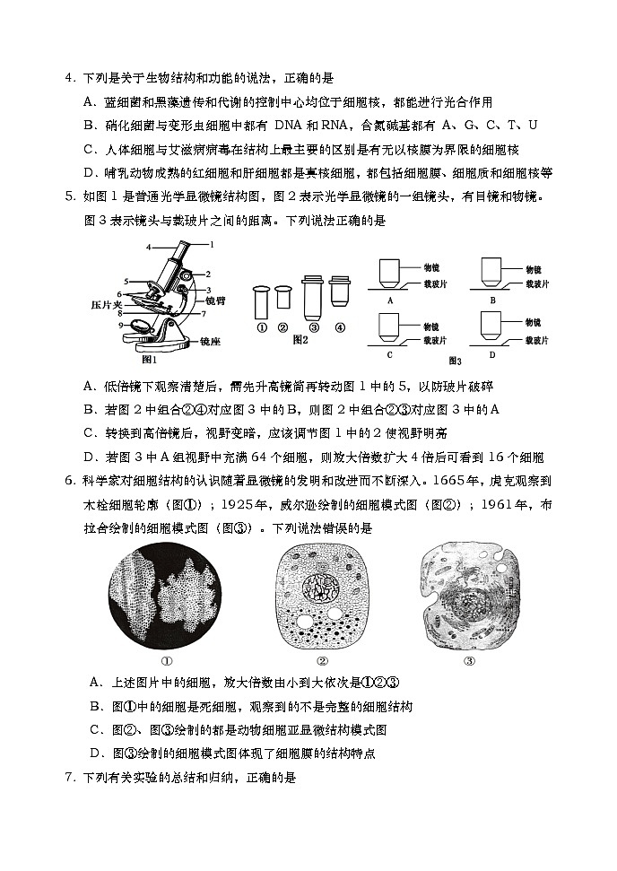 2024青岛高一上学期期中考试生物试题02