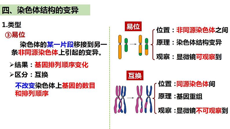 人教版高中生物必修二5.2染色体变异（第2课时）课件+同步分层练习（含答案解析）07