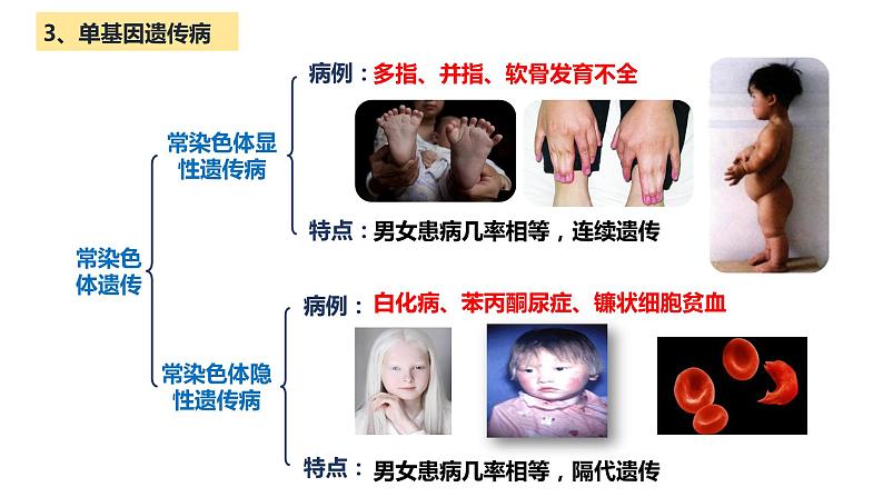 人教版高中生物必修二5.3人类遗传病课件+同步分层练习（含答案解析）05