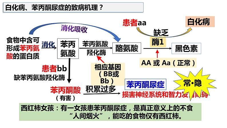 人教版高中生物必修二5.3人类遗传病课件+同步分层练习（含答案解析）06