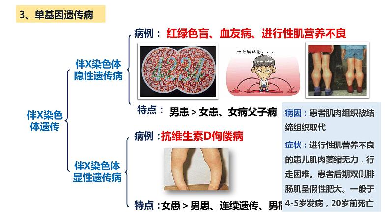 人教版高中生物必修二5.3人类遗传病课件+同步分层练习（含答案解析）07