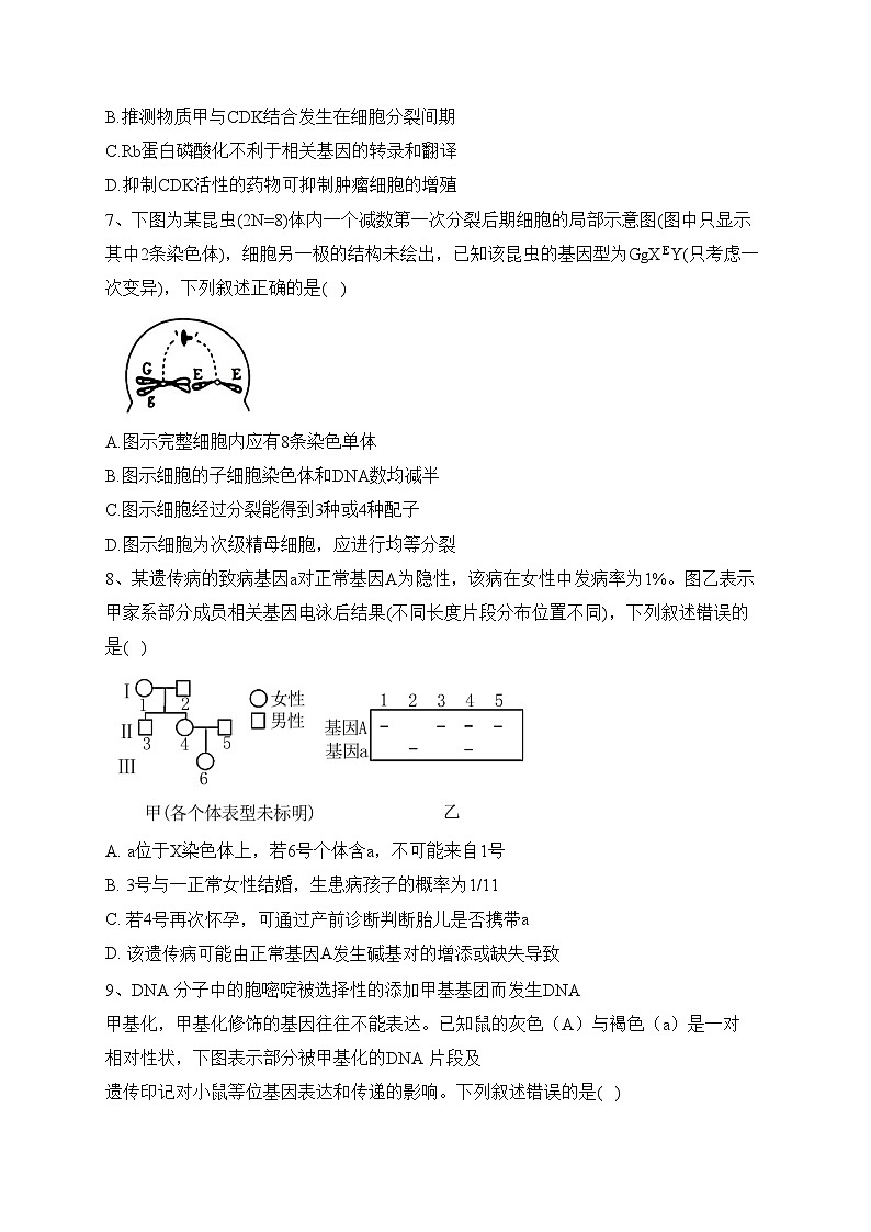 山东省烟台市莱州市一中2022-2023学年高三5月阶段检测生物试卷(含答案)03